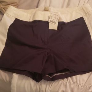 Navy and white JCrew shorts NWT